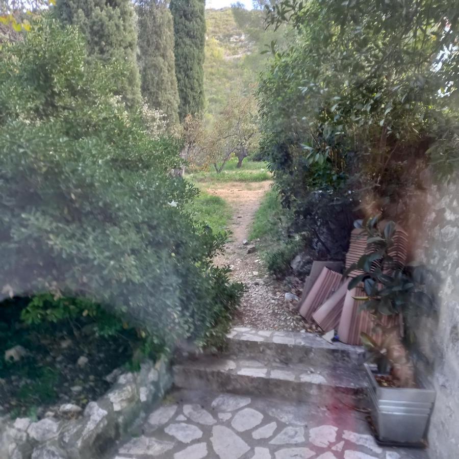 Petit Studio Parmi Les Pins Et Les Cypres Marseille Exteriör bild