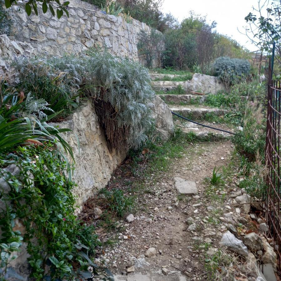 Petit Studio Parmi Les Pins Et Les Cypres Marseille Exteriör bild